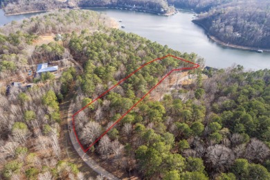 Smith Lake (Crooked Creek) Build your dream home on this 2.8 - photo 6