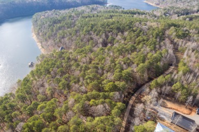 Smith Lake (Crooked Creek) Build your dream home on this 2.8 - photo 7