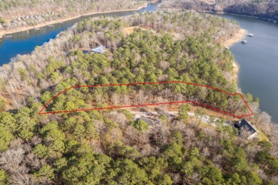 Smith Lake (Crooked Creek) Build your dream home on this 2.8 - photo 8