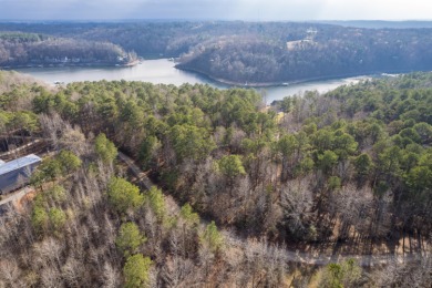 Smith Lake (Crooked Creek) Build your dream home on this 2.8 - photo 10