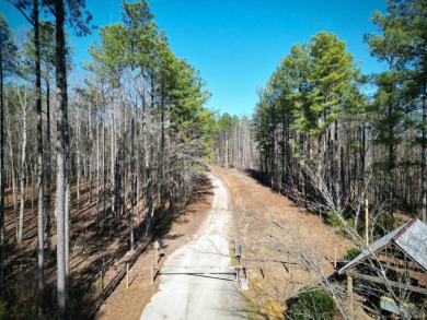 Hidden Deep Within The Forest, This Property Offers Unparalleled - photo 2