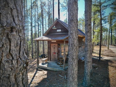Hidden Deep Within The Forest, This Property Offers Unparalleled - photo 4