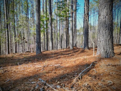Hidden Deep Within The Forest, This Property Offers Unparalleled - photo 6