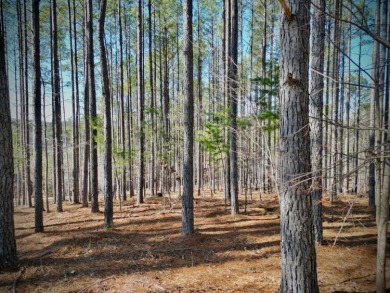 Hidden Deep Within The Forest, This Property Offers Unparalleled - photo 7