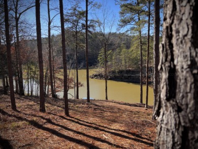 Hidden Deep Within The Forest, This Property Offers Unparalleled - photo 10