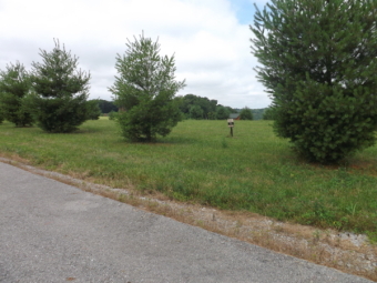 Lots Park Ridge - Lake Lot For Sale in Russell Springs, Kentucky