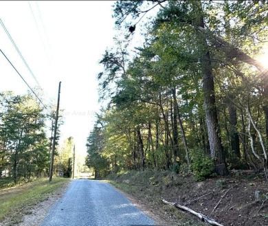 3 ''Unrestricted'' beautifully wooded Lots in Little Dismal - photo 1