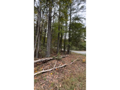 3 ''Unrestricted'' beautifully wooded Lots in Little Dismal - photo 2