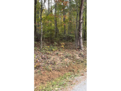 3 ''Unrestricted'' beautifully wooded Lots in Little Dismal - photo 3