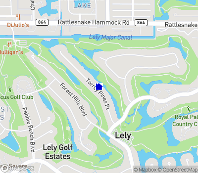 327 Torrey Pines Point Naples - 6447757