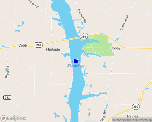 Lake Blackshear Map
