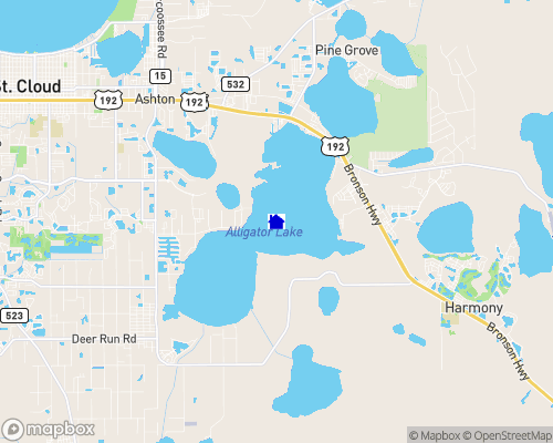 Alligator Lake - Osceola County Map