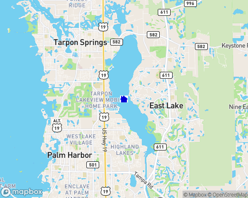 Lake Tarpon Map