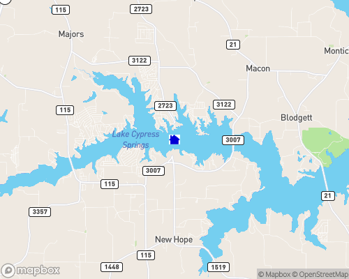Lake Cypress Springs Map